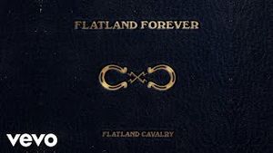 Video post by @flatlandcavalry on YouTube