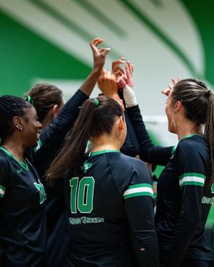 Image post by @meangreenvb on Instagram