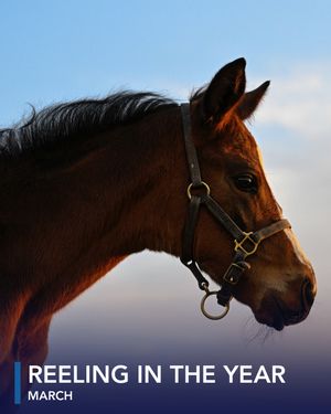 Image post by @coolmoreamerica on Instagram