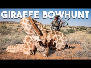 Video post by @BowmarBowhunting on YouTube