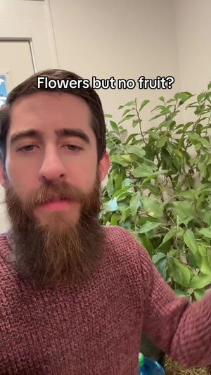 Video post by @ambiguousmatt on TikTok