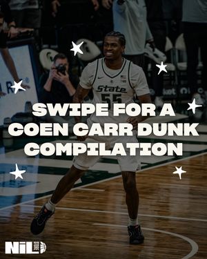 Image post by @msu.nil.store on Instagram