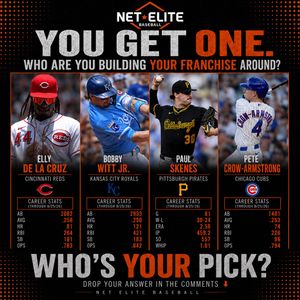 Image post by @netelitebaseball on Instagram