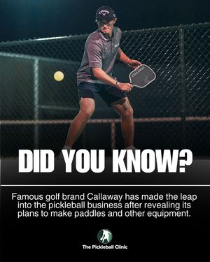 Image post by @thepickleballclinic on Instagram