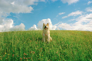 Image post by @kodakprofessional on Instagram