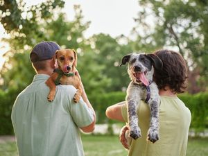 Image post by @animalplanet on Instagram