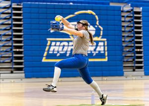 Image post by @hofstrasoftball on Instagram