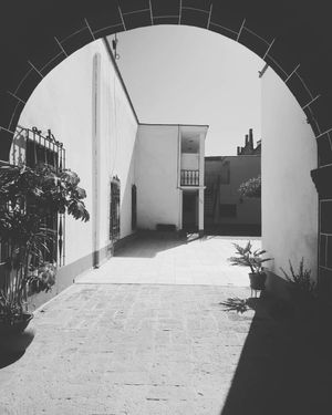 Image post by @ednek on Instagram
