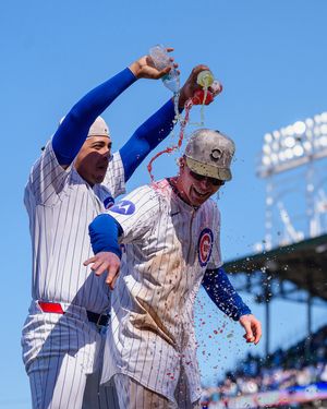 Image post by @cubs on Instagram