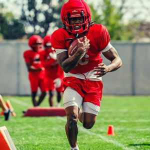Image post by @unmlobofb on Instagram
