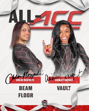 Image post by @PackGymnastics on Facebook