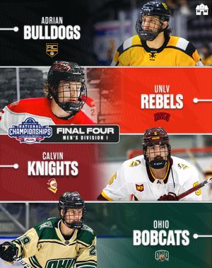 Image post by @hockeyhousepod on Instagram
