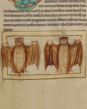 Image post by @gettymuseum on Instagram