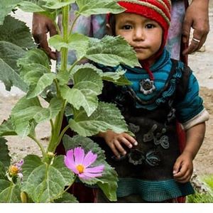 Image post by @unfoundation on Instagram