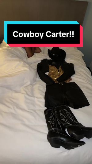 Video post by @arperry01 on TikTok