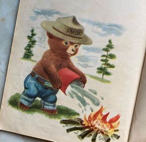 Image post by @smokeybear on Instagram