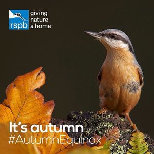 Image post by @rspb on Instagram