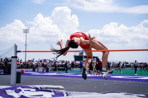 Image post by @terriertfxc on Instagram