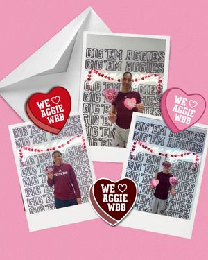 Image post by @aggiewbb on Instagram