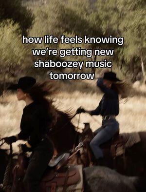Video post by @wildlilcowgirl on TikTok