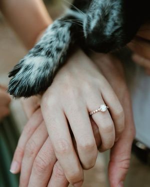 Image post by @maddiesswfphotography on Facebook
