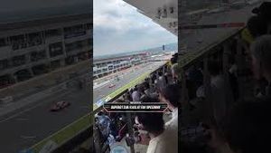 Video post by @speedonfox on YouTube