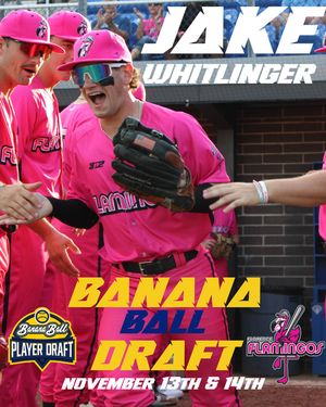 Image post by @floflamingos on Instagram