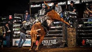 Video post by @pbr on YouTube
