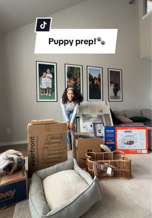 Video post by @jaylabrenae5 on TikTok