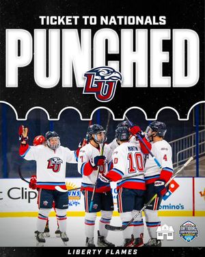 Image post by @hockeyhousepod on Instagram