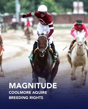 Image post by @coolmoreamerica on Instagram