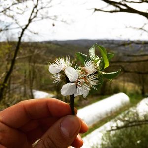 Image post by @alpertongfidanligi on Instagram