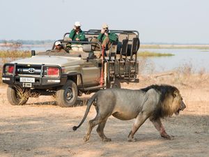 Image post by @chiawasafaris on Instagram