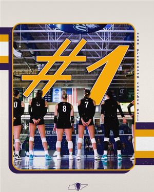 Image post by @LipscombVBall on Twitter