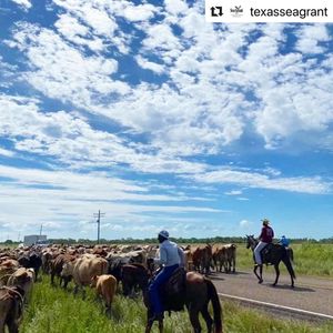 Image post by @txextension on Instagram