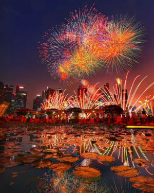 Image post by @visit_singapore on TikTok