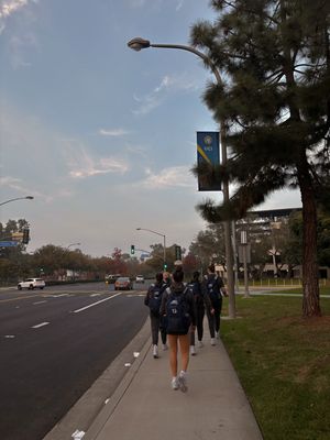 Image post by @graciefayemedia on Instagram