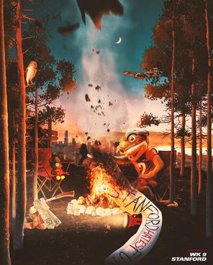 Image post by @wsucougarfb on Instagram