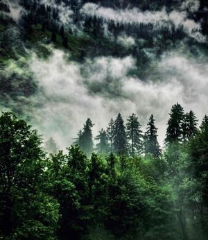 Image post by @travel._.india on Instagram