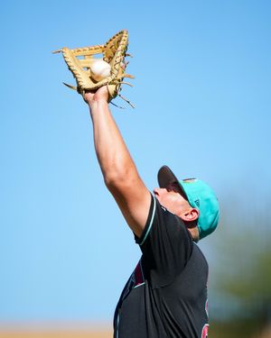 Image post by @marieunderwoodphoto on Instagram