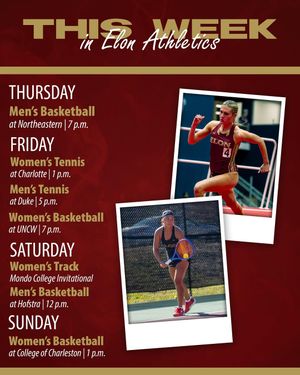 Image post by @elonrisingphoenix on Instagram