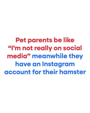 Image post by @petsmart on Instagram