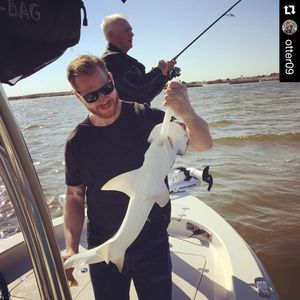 Image post by @stlouisblues on Instagram