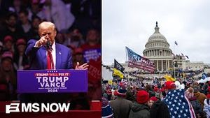 Video post by @msnbc on YouTube