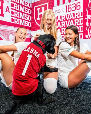 Image post by @harvardwsoccer on Instagram