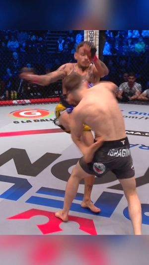 Image post by @pflmma on Instagram