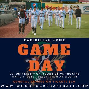 Image post by @gowoodducks on Instagram