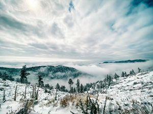 Image post by @chrislholder on Instagram