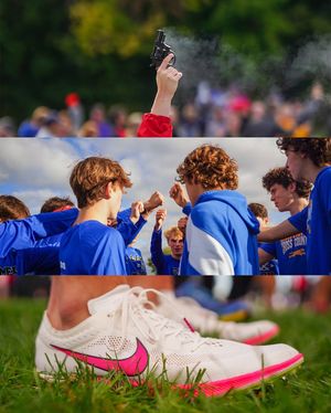 Image post by @carmelgreyhoundsxc on Instagram