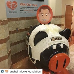 Image post by @anaheimducks on Instagram